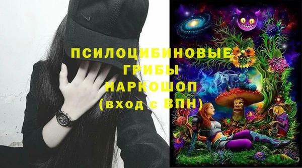 бошки Арсеньев