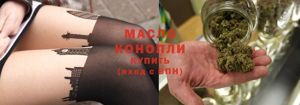 индика Абинск