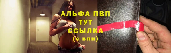 индика Абинск