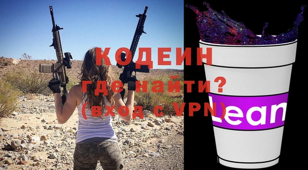 индика Абинск