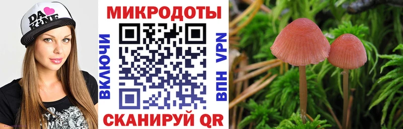 как найти закладки  Димитровград  Псилоцибиновые грибы мицелий 