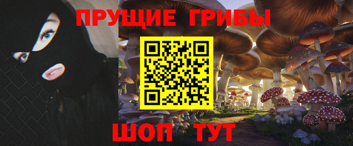 Галлюциногенные грибы прущие грибы  Вход с VPN  купить   Димитровград 