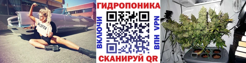 где продают наркотики  Димитровград  Конопля OG Kush 